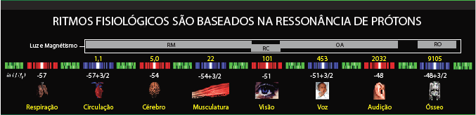 ritmos-fisio-new